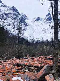 四川理小路｜向雪山奔去。