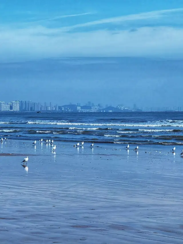 5-Day Itinerary for a Fall Trip to Qingdao, Weihai, and Yantai!