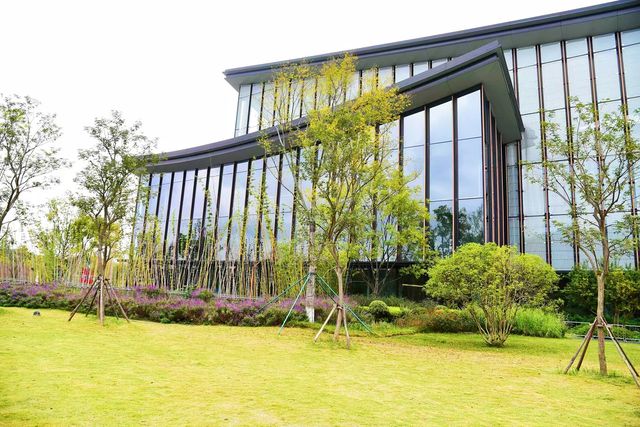 藝術與自然的完美融合｜天府藝術公園。