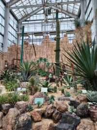 Visiting Nagoya's Higashiyama Zoo and Botanical Gardens: A Cautionary Tale