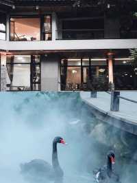 雲水謠民宿｜住進水墨畫裡的世外桃源！。