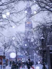 What to Do in Winter in Hokkaido? Don't Miss These 5 Stunning Winter Festivals