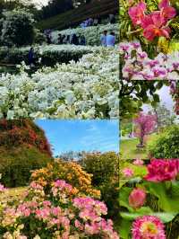 《秀山植物園，藏在城市中的綠野仙蹤》。