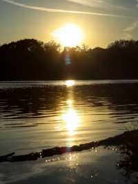 Experience the Golden Autumn at Prospect Park