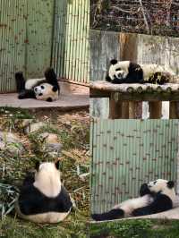 西安慢遊。