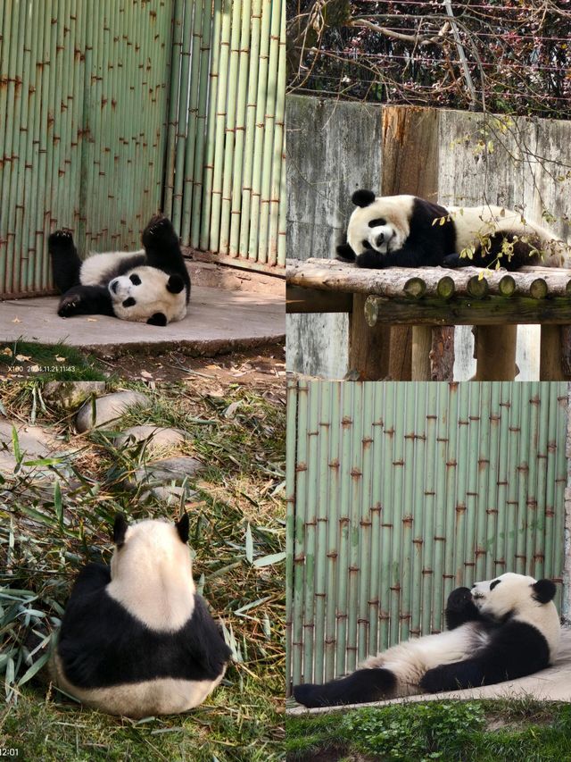 西安慢遊。