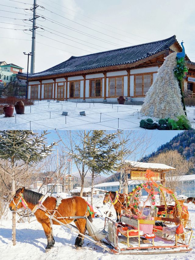 躲進雪裡過冬天！4天3晚玩轉延吉長白山。