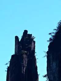 頭一回見：爬山還可以坐電梯｜郴州宜章莽山。