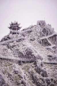 清遠｜金子山