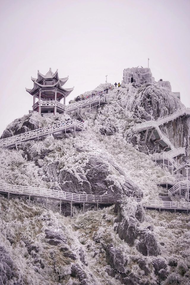清遠｜金子山