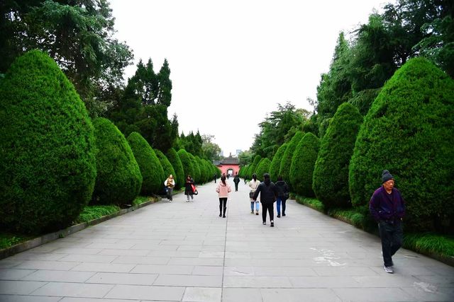 南郊公園｜一處隱藏在都市中的古色古香
