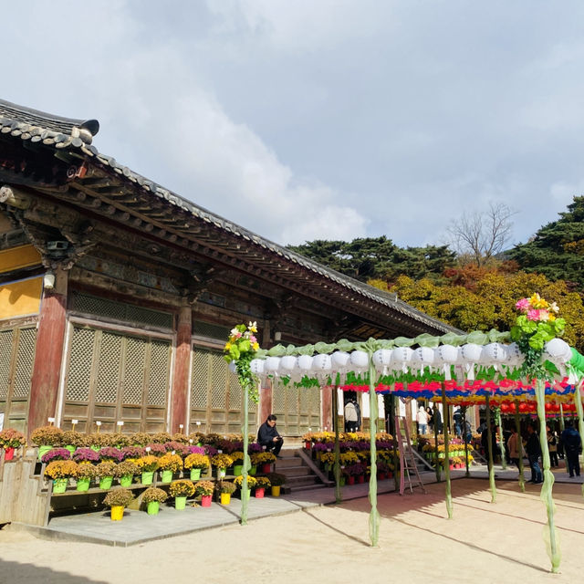 경주 여행 추천 코스 세계문화유산 불국사 
