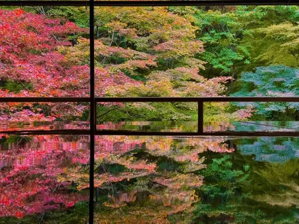 琉璃光院會懲罰每一個不提前攻略的人