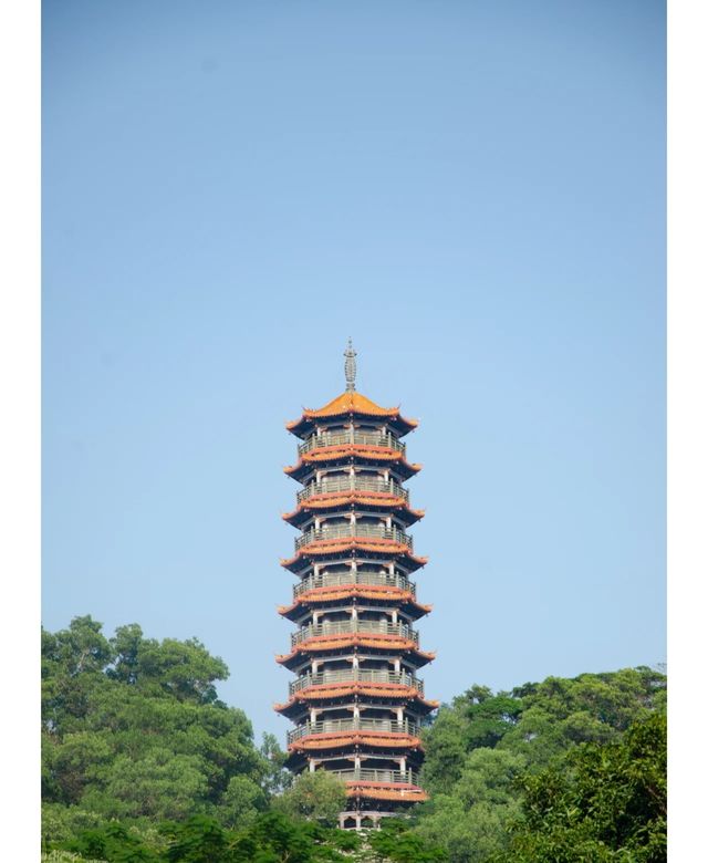 紅花山公園｜不出片可能是缺個攝影師。