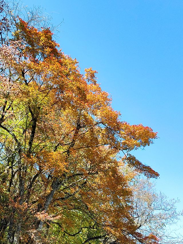 龍頭山風景區