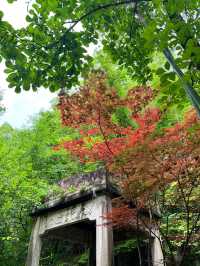 冬天來淳安玩了3天 這些建議必看