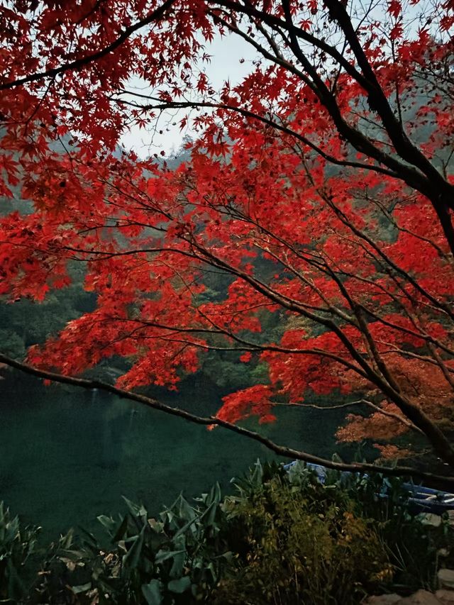漫步九溪十八澗 靜享歲月靜好