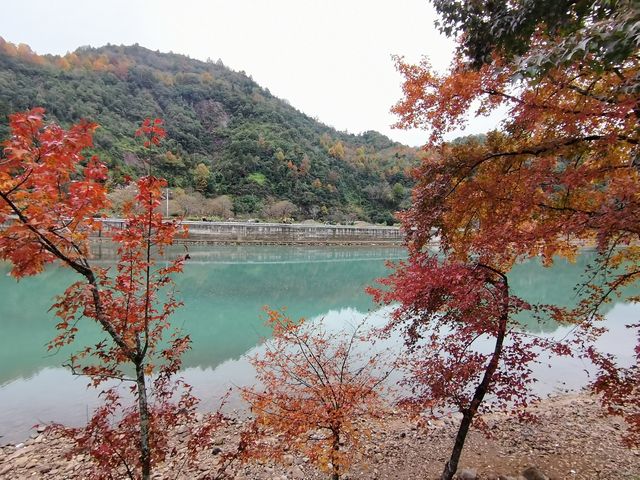 浙南遊4 - 2024年12月6日