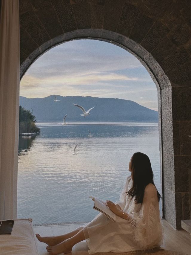 大理的海鷗與日落 浪漫的人先享受世界