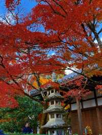 京都紅葉季最不能錯過的地方—常寂光寺