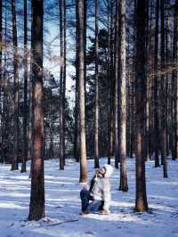 雪人節，這裡才是長春最值得來的地方！