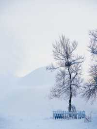 雪人節，這裡才是長春最值得來的地方！