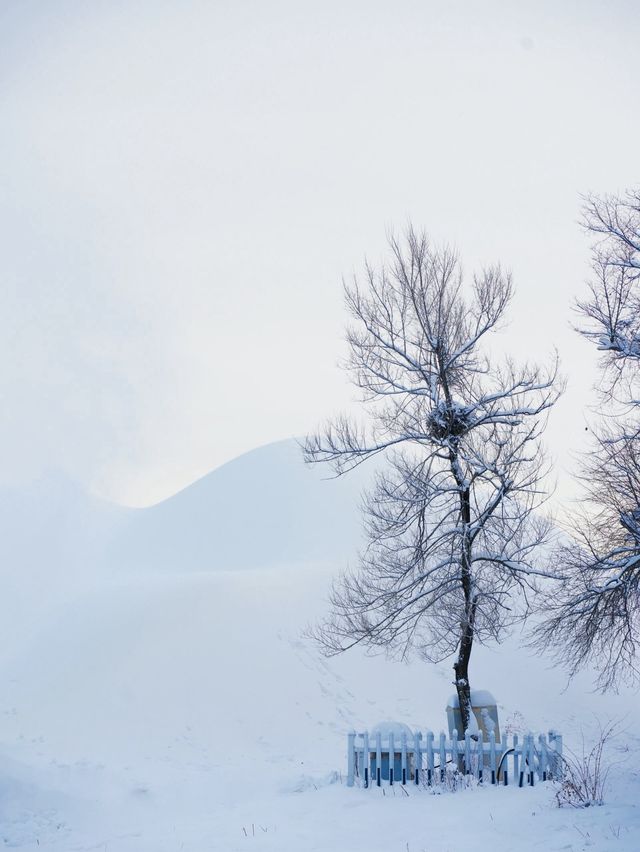 雪人節，這裡才是長春最值得來的地方！