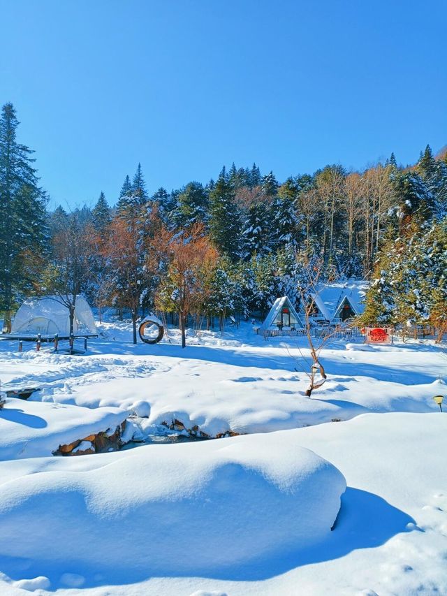 對不起了雪鄉，與之相比這裡更是童話世界！