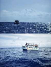 Exploring Mirissa, Sri Lanka: Whale Watching and Stilt Fishermen