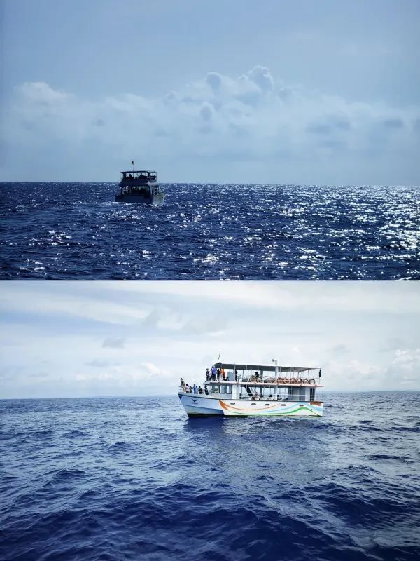 Exploring Mirissa, Sri Lanka: Whale Watching and Stilt Fishermen