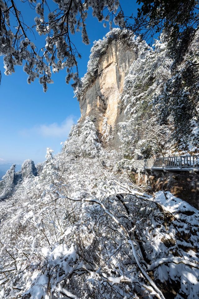 光霧山