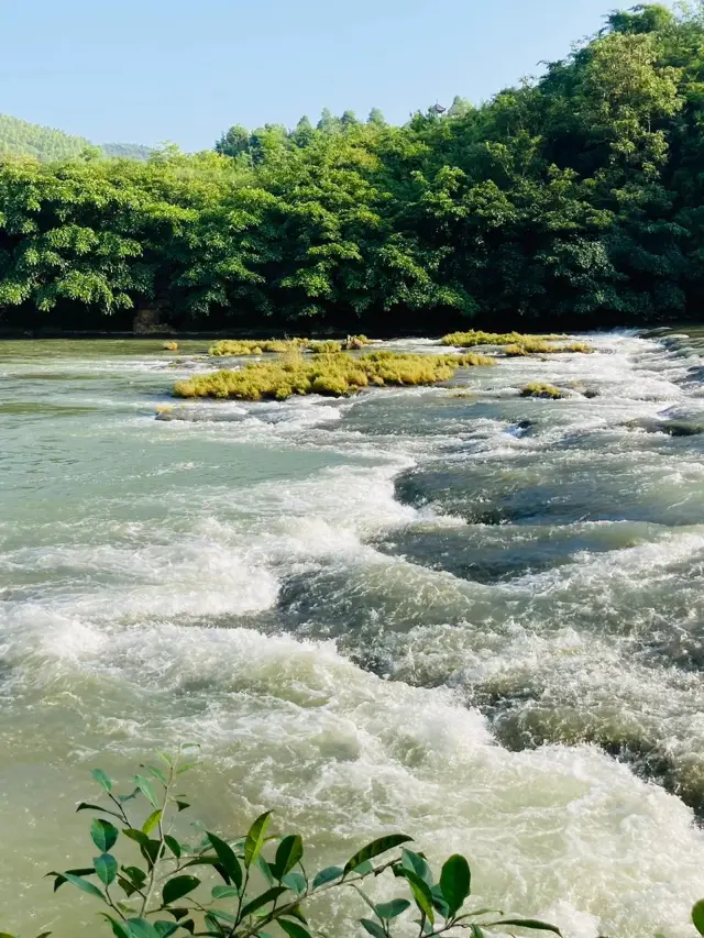 Celebrate New Year in Guizhou: Huangguoshu Waterfall, Fanjing Mountain, and Zhenyuan