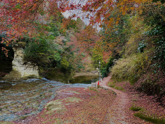 栗又の淹｜養老溪谷紅葉狩
