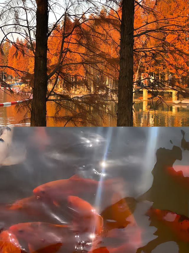 蘭溪蘭湖景區