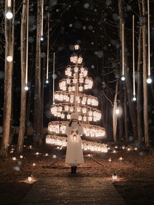 Experience the Magic of Christmas at Karuizawa Kogen Church