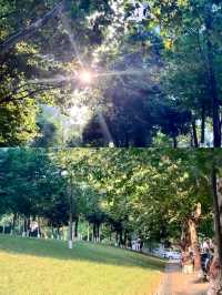 成都公園/週末遛娃露營好去處