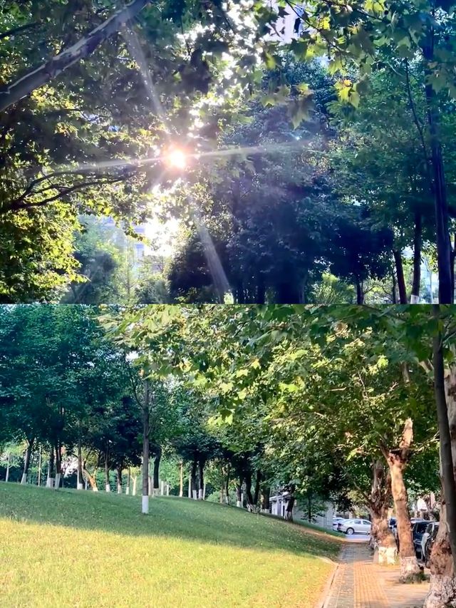 成都公園/週末遛娃露營好去處