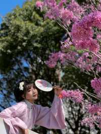 冬日來信｜紫風鈴木下的廣州是粉色限定款