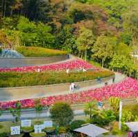 打卡廣州雲蘿植物園