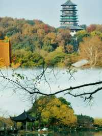 西湖一日遊！最強攻略來啦