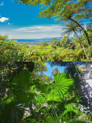 道格ラス港+モスマン渓谷日帰りツアー大冒険。