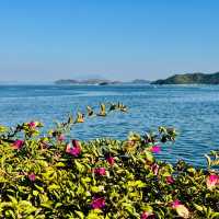 我來深圳海景公園啦！