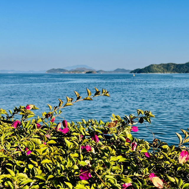 我來深圳海景公園啦！