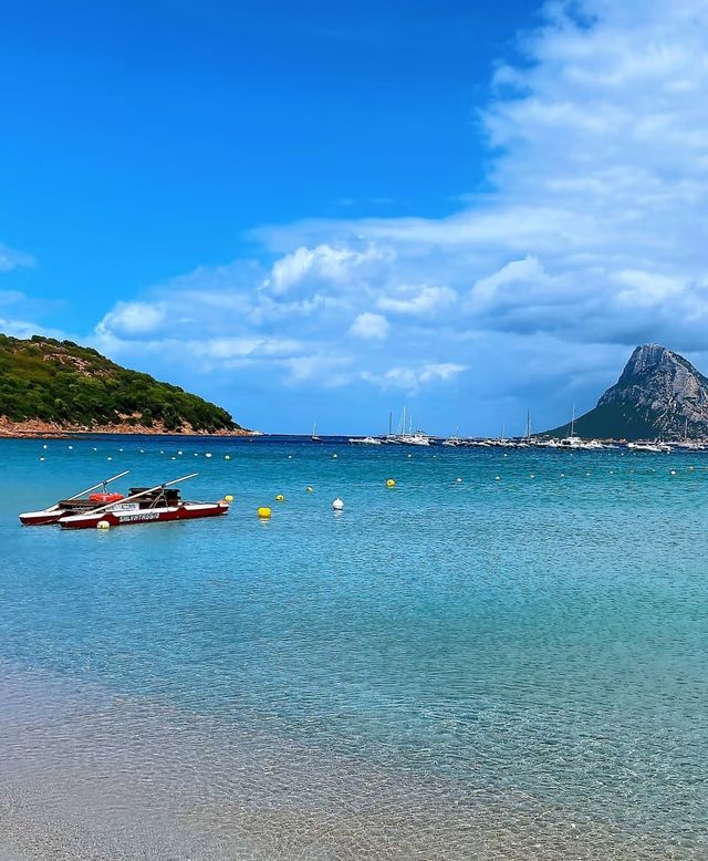 意大利撒丁島 | 地中海上的明珠