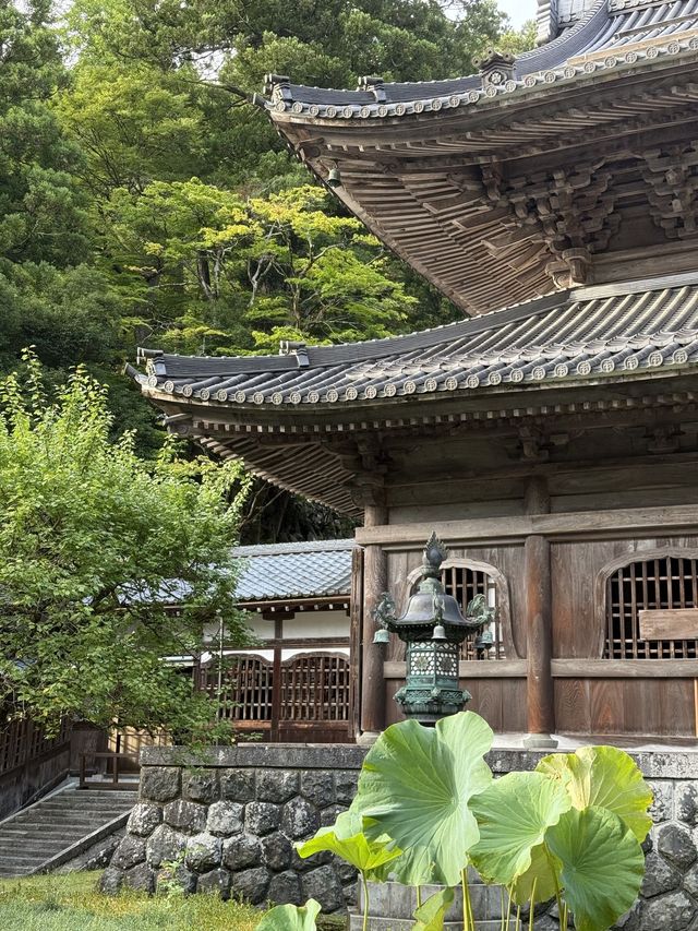 過年去日本8日暢遊攻略必看