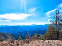 鷹巢山