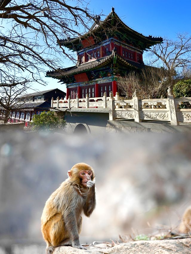 快來！走進《西遊記》的奇幻世界!