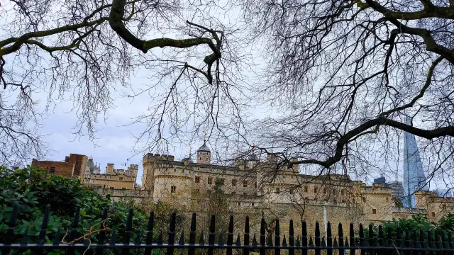 Explore the Tower of London