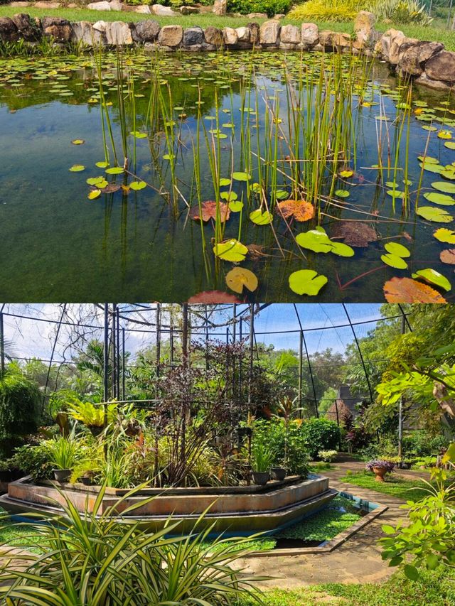 探索斯里蘭卡漢班托特乾區植物園：赤道上的綠色奇蹟