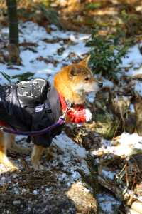 鄰間探尋|邂逅一場冬日限定的冰雪奇緣。